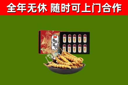 东莞回收冬虫夏草价格